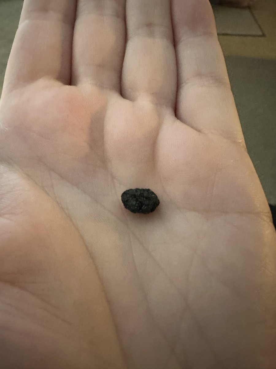 Shaz246's tweet photo. Excellent service from @TheAA_UK tonight. Phoned as car had begun to make a very weird noise when driving but couldn’t see the culprit. Within 30 minutes, guy had shown up &amp; sorted. This little stone was the issue. Stuck in the backing plate. Big thanks to Adam! https://t.co/Unz2dqot3J