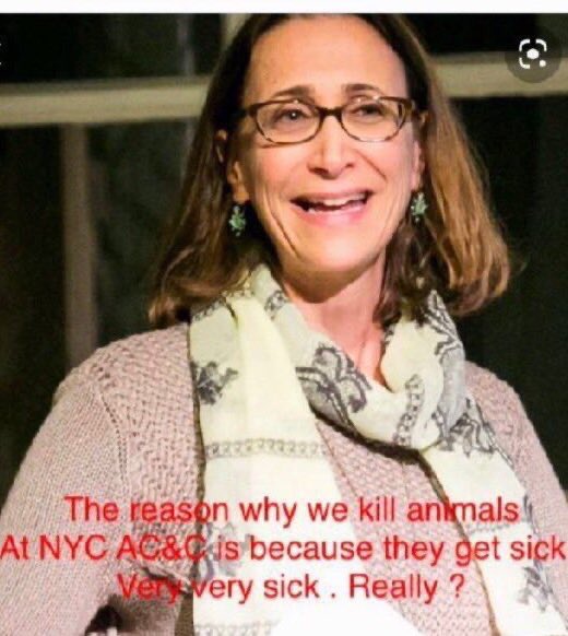 Wynjym's tweet photo. So this #KILLfactory full of #psychopathic 👹 #sadists put 

him through a #neuter a week ago … NOW THEY #MURDERED 

HIM WHY⁉️⁉️⁉️🤔😱🤬

@ASPCA #MEDICAL STUDENTS LIKE TO EXPERIMENT ON 

@NYCACC #PETS #DOGS #CATS ETC👹👹👹 https://t.co/p6j1mXM6b7