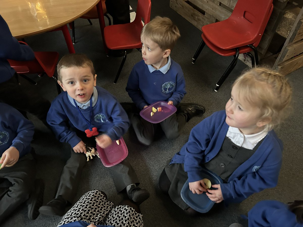 We have started #Scienceweek by tasting different apples and collecting their cores. We made predictions about what will happen to the apple cores and wondered if something different would happen to each apple’s core. We can’t wait to find out! @MrsB_WFoss