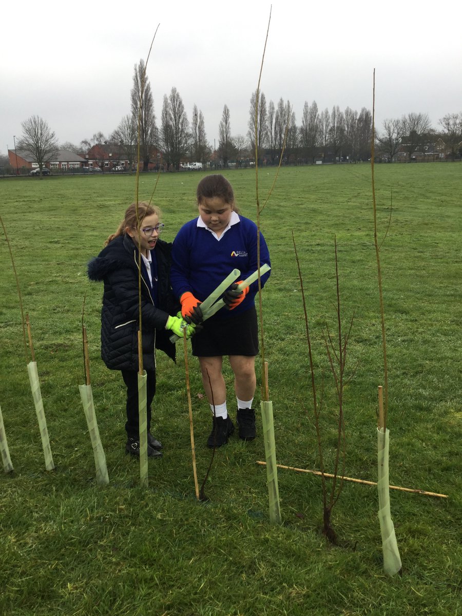 DeltaPheasantB's tweet photo. Thanks to the Doncaster Council Rangers &amp; councillors Bob &amp; Ken for supporting our children plant 100 willow trees today. #Doncaster #pbathrive #pheasantbankacademy https://t.co/NlTwcOpCBc
