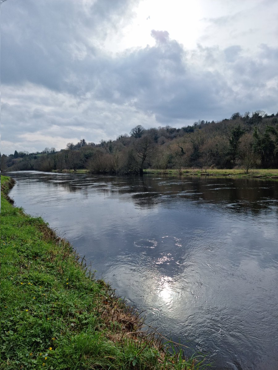 A great stroll & #litter pick on the #BarrowTrack. Graiguenamanagh to Carriglead lock. #LeaveNoTrace #lovewhereyoulive #pawsonplastic