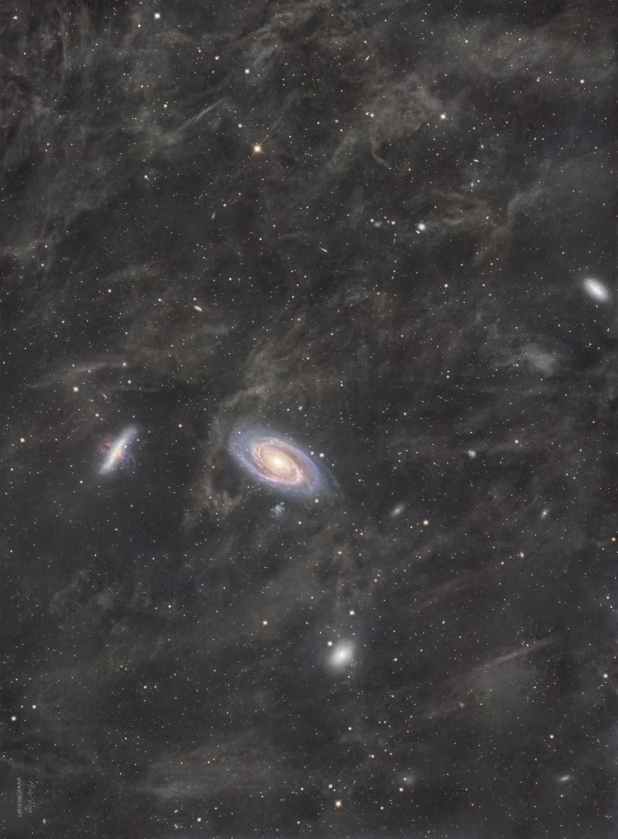 The M81 Galaxy Group &amp; IFN