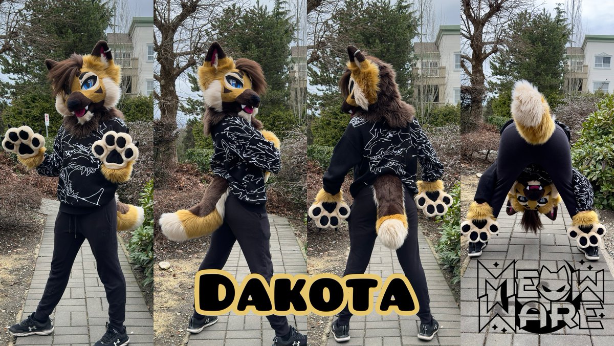 〔DAKOTA〕
New mini partial! Man I love brown dogs 😀
More suits coming soon🖤🖤

#fursuit