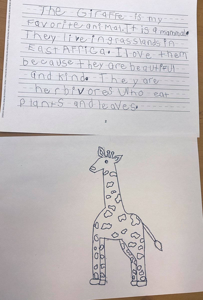TEMDClassroom's tweet photo. We have been working really hard on our book that will be published this spring with @StudentTreasures Publishing. We are learning all about our favorite animals! #SpringPublishing #ProudAuthors #senatorpride https://t.co/J4mFLcYEcf