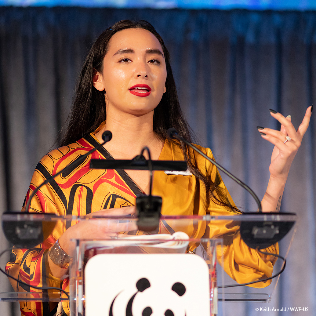 World Wildlife Fund tweet media