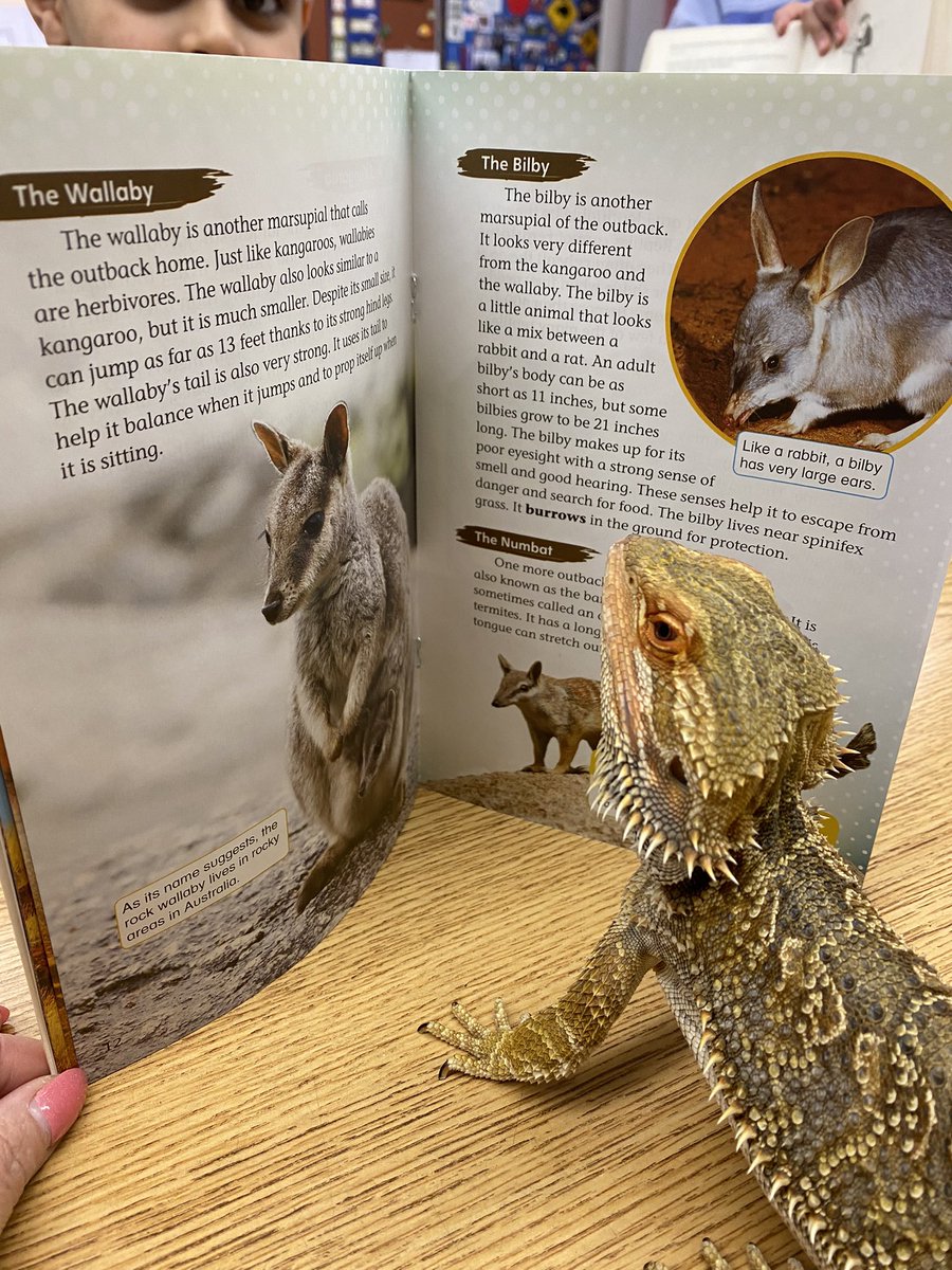 Laura Torrey tweet media