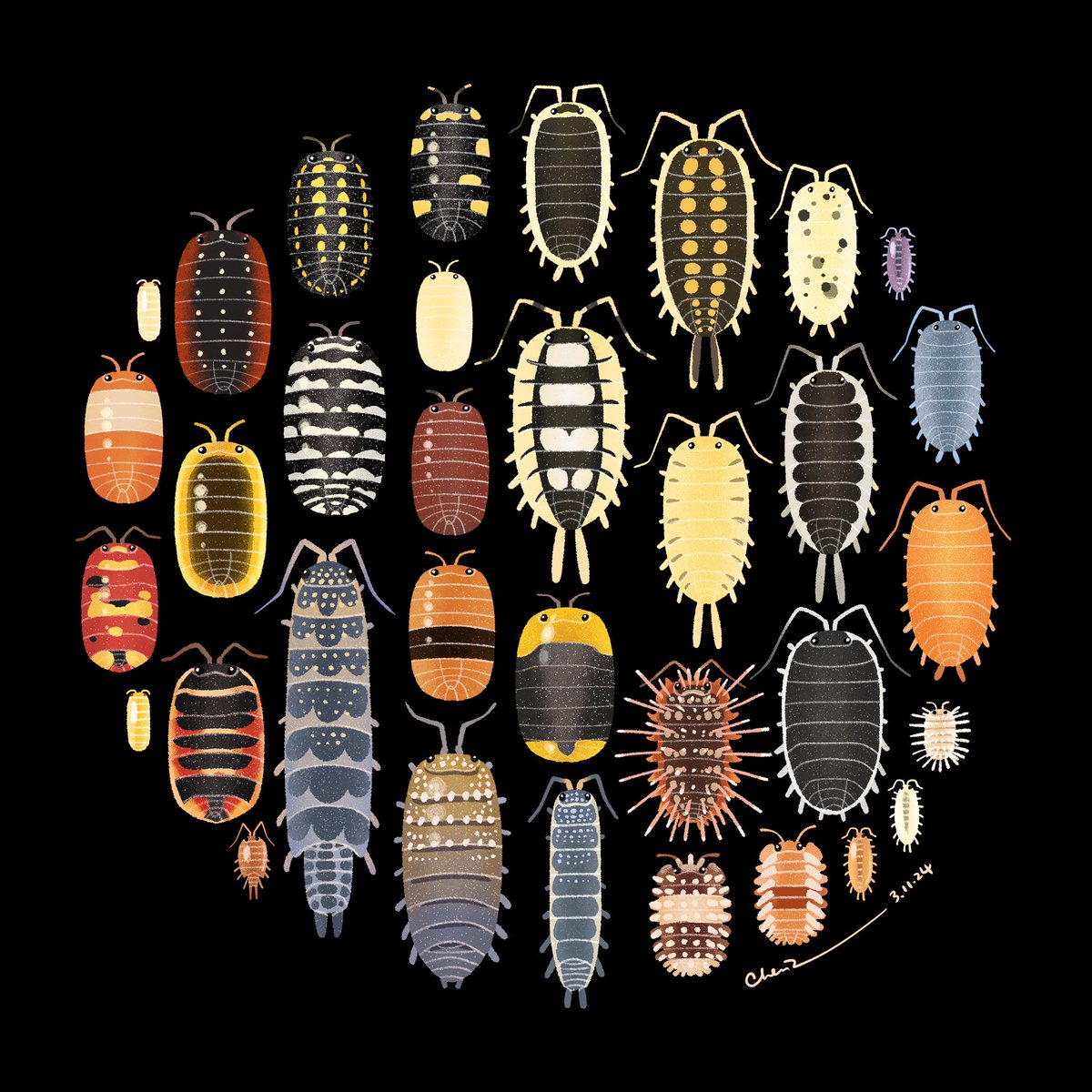 Chentomology tweet media