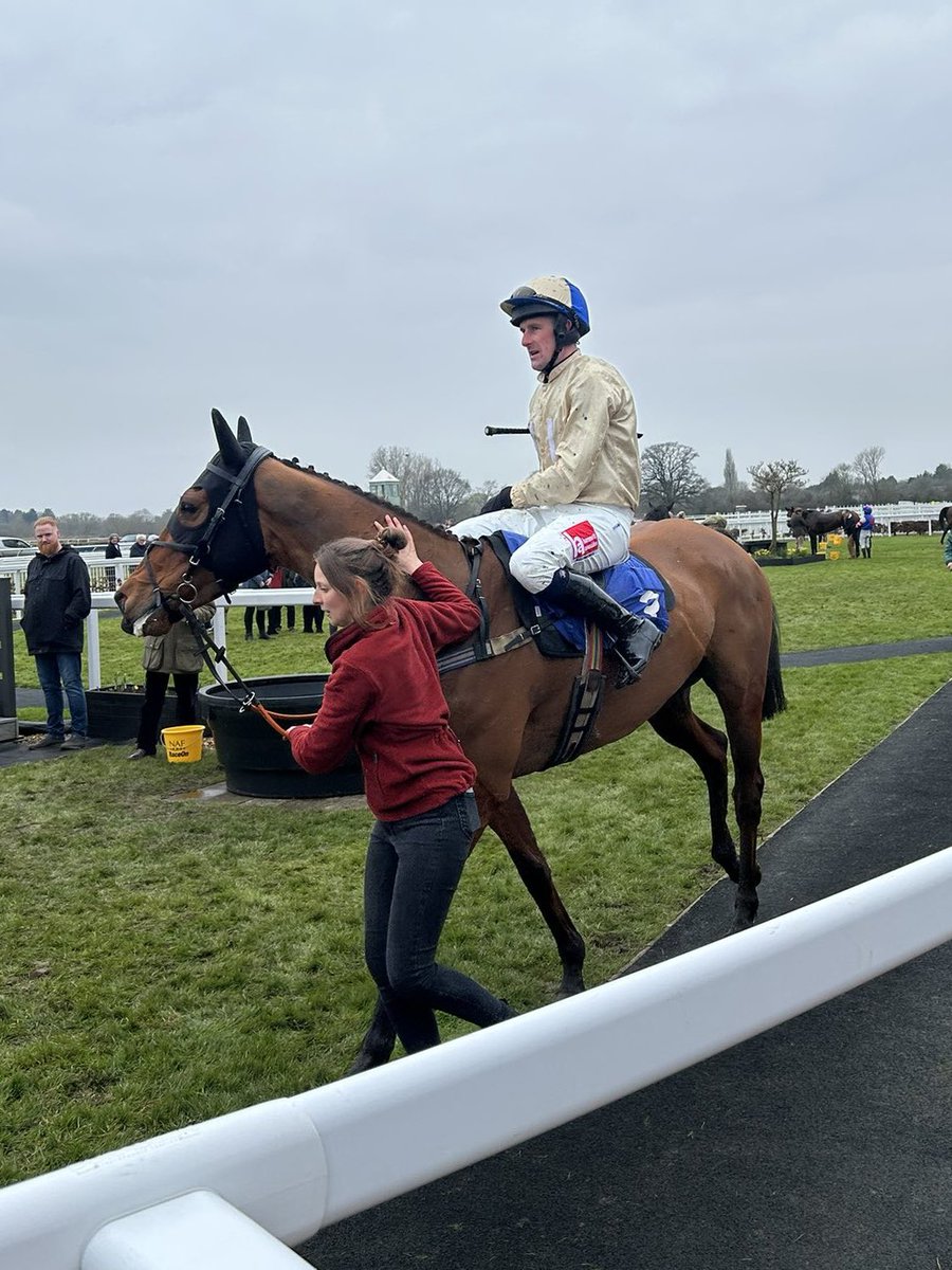 Not a bad Sunday and Monday for <a href="/Darrenandrews4/">Darren Andrews</a>! 3 rides, 3 winners. All for trainer Philip Rowley. Bear Market, Bumper Winner &amp; Subtle Fortune, Maiden Winner both at Bangor P2P. Forest Chimes, Novices’ Hunter Chase Winner at Stratford. 🥇🥇🥇