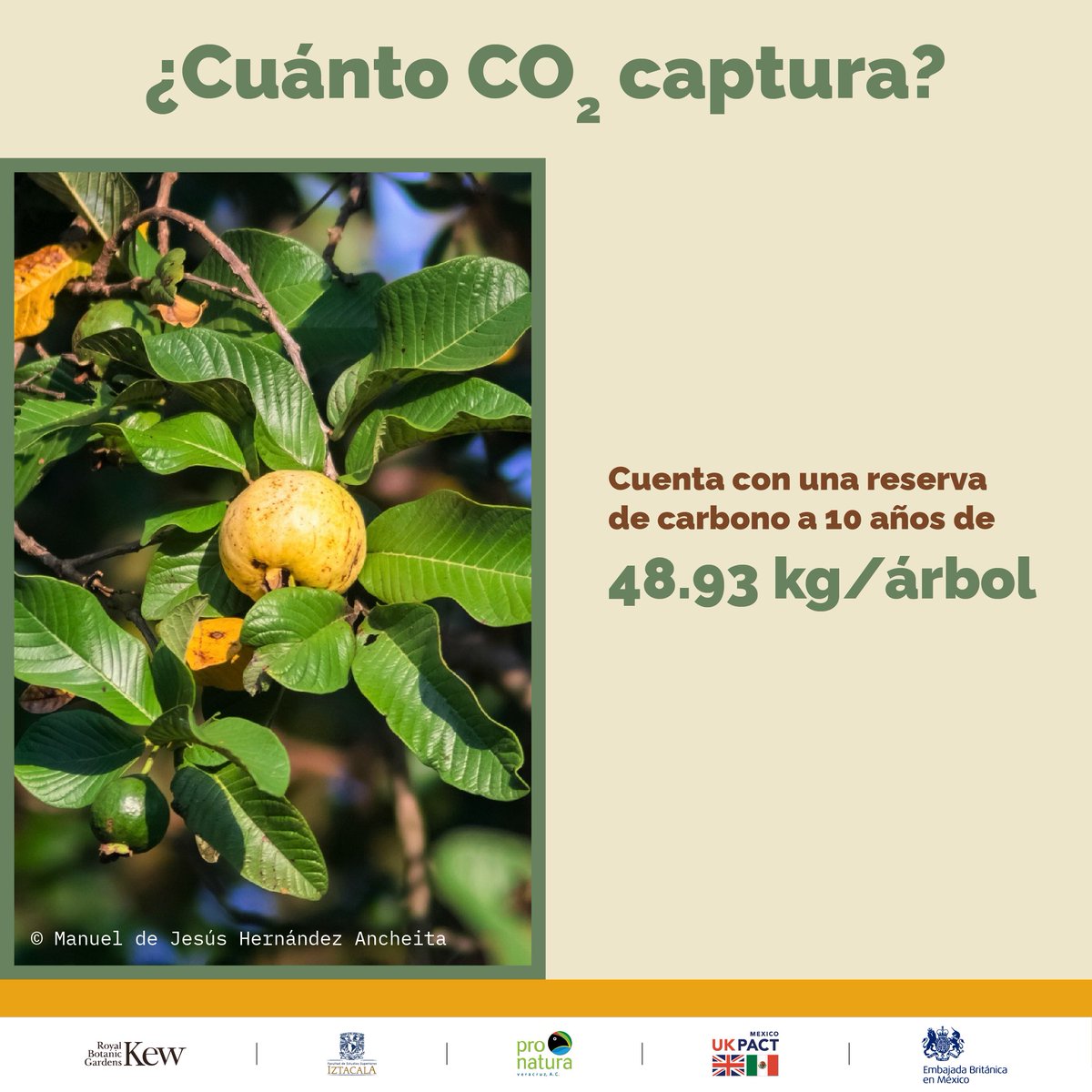 Pronatura Veracruz tweet media