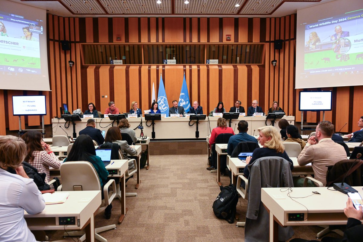 World Wildlife Day tweet media