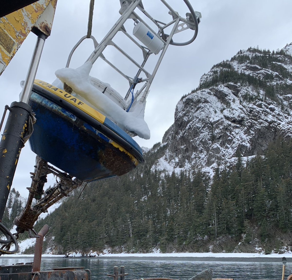 OARC_Alaska's tweet photo. We had a successful mooring turnaround this past week. 🙌
That means 1️⃣🛟 in and 1️⃣🛟 out.
#MooringMonday #GAKOA #MAPCO2 https://t.co/46DAvZDdgk