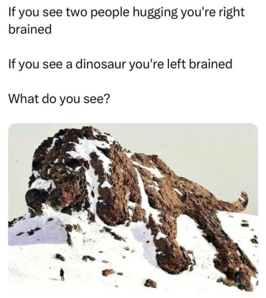 Mischievousliz's tweet photo. I see a Dog, guess I’m dog-brained 🐾 https://t.co/DnVoptlrRr