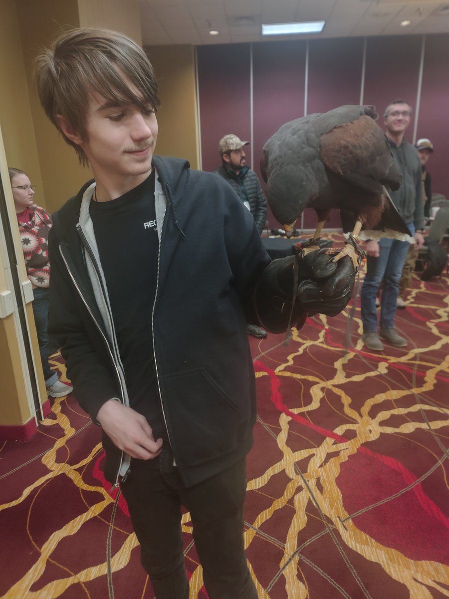 Meto44831472's tweet photo. Been getting into falcony lately and I thought I might share it here. 
Lots of pretty birds, and bird facts. https://t.co/z7jRrKurTO