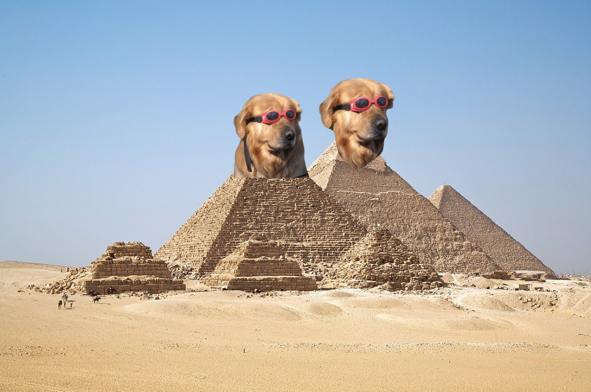 Where's the damn pool??

<a href="/doginthpool/">doginthpool</a> 

$DIP 🐕💧