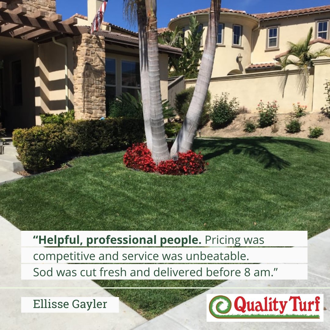 Elevate your outdoor space with Quality Turf! 🏡 

Instantly transform your yard into a picturesque oasis with our premium-quality sod! 🌿

📞 Call 951-654-7721 to order today! 

#QualityTurf #InlandEmpire #LawnTransformation 
#FreshSod #HighQualityTurf