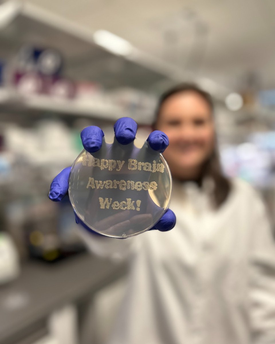 AllenInstitute's tweet image. Happy Brain Awareness Week! 🧠 🎉

All week long, we&apos;ll be sharing all things brain and take you behind the scenes of our brain science research. 

🎨 Amazing agar art by Research Associate Brooke Wynalda! 🤩

#BrainAwarenessWeek #BrainWeek @dana_fdn