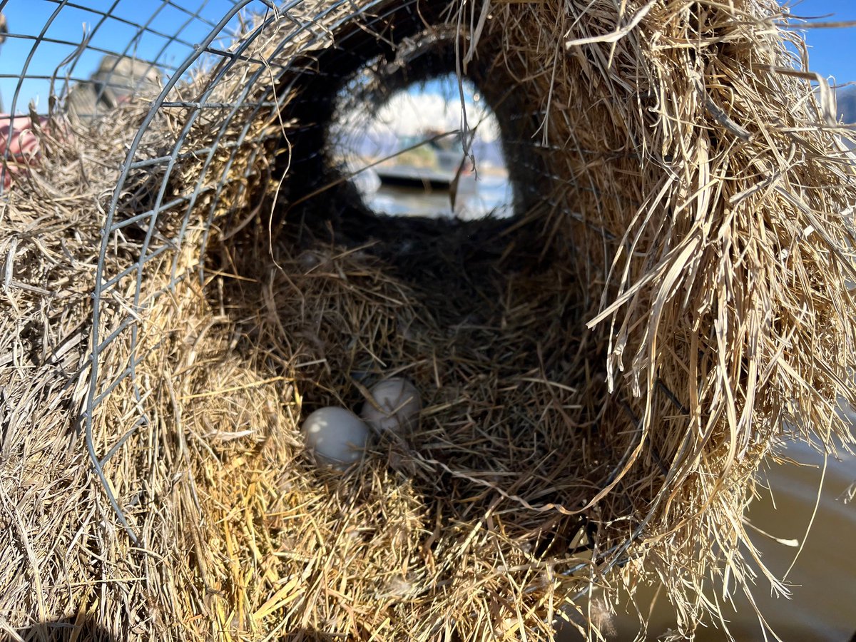Utah Lake Authority tweet media