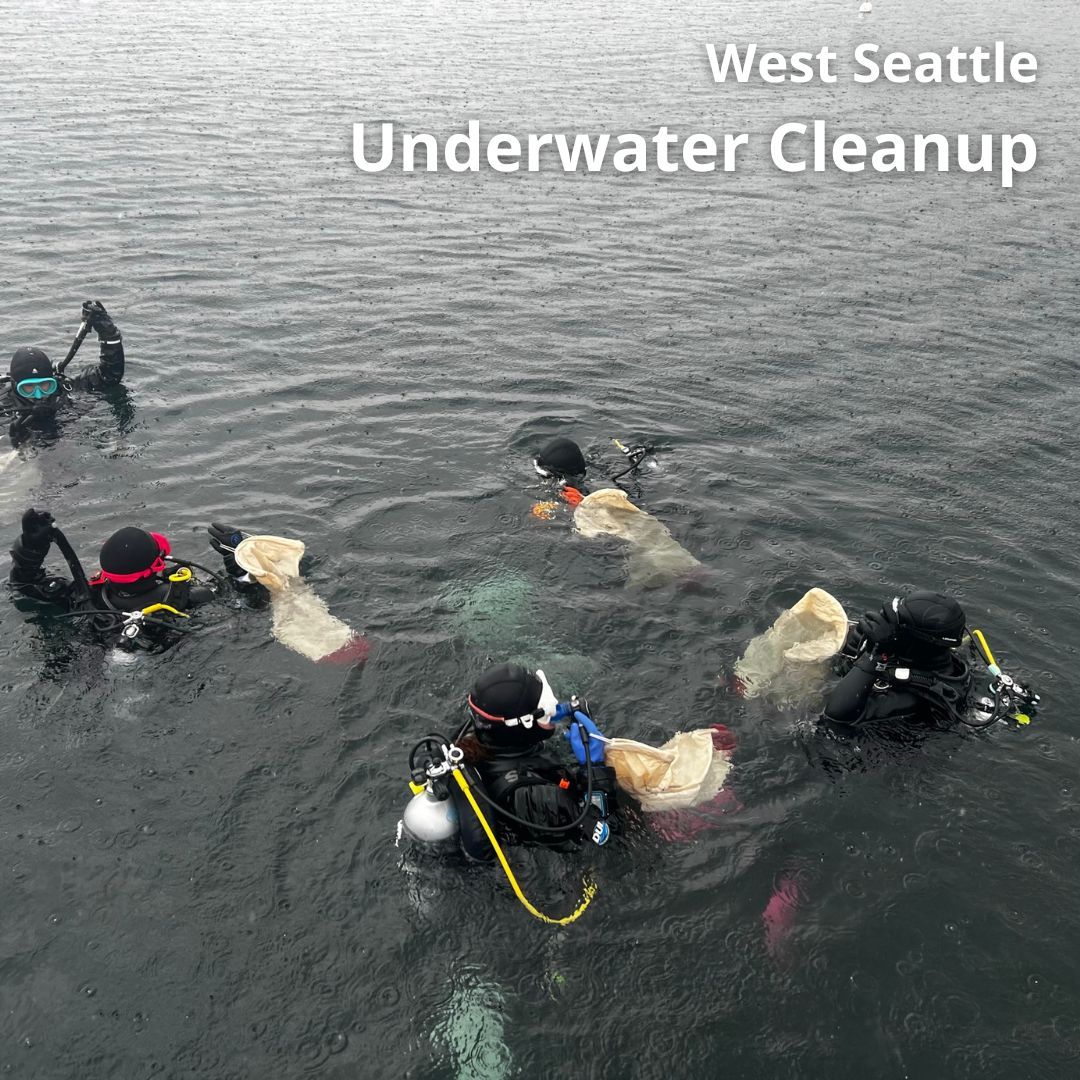 We are gearing up for our next underwater cleanup! Last year's cleanup under the Seacrest pier was a huge success. 
Our Seacrest cleanup is scheduled for April 13th, join us!
Pre-registration required, and you must be Advanced Open Water certified above to dive this event.