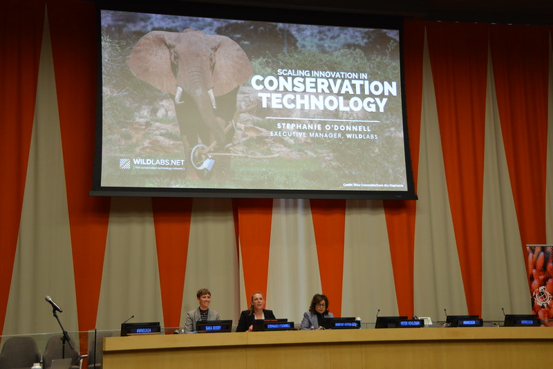 WILDLABS Community tweet media