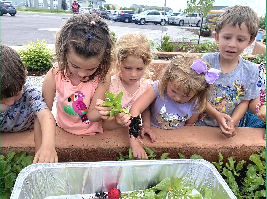 USDA_FNA's tweet photo. The Evans Early Childhood Center in Fort Morgan, Colorado, serves 150 children with the Child and Adult Care Food Program and Summer Food Service Program, educating children about gardening, local foods, nutrition and more. #FNSsuccess https://t.co/iMugfAhnMG https://t.co/zJMjPZdGNQ