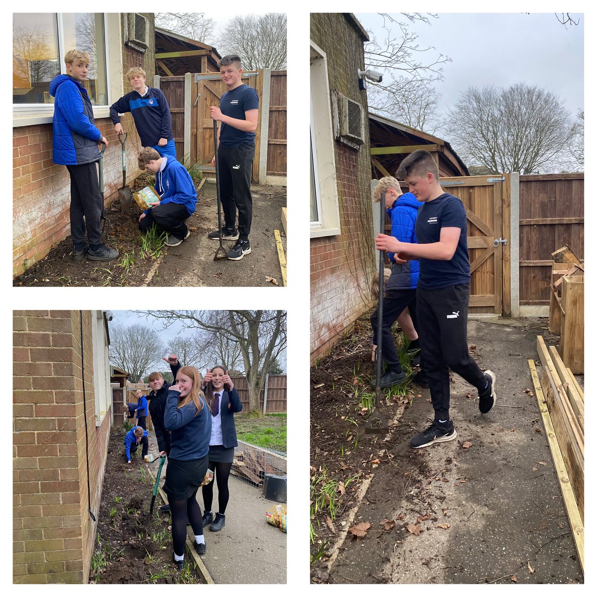 Thank you to these silver students completing their volunteering section <a href="/aylshamhigh/">Aylsham High</a> planting bulbs in the memorial garden! A great start this afternoon ☺️ #memorialgarden #felbriggfamily 💛 @FelbriggAhs