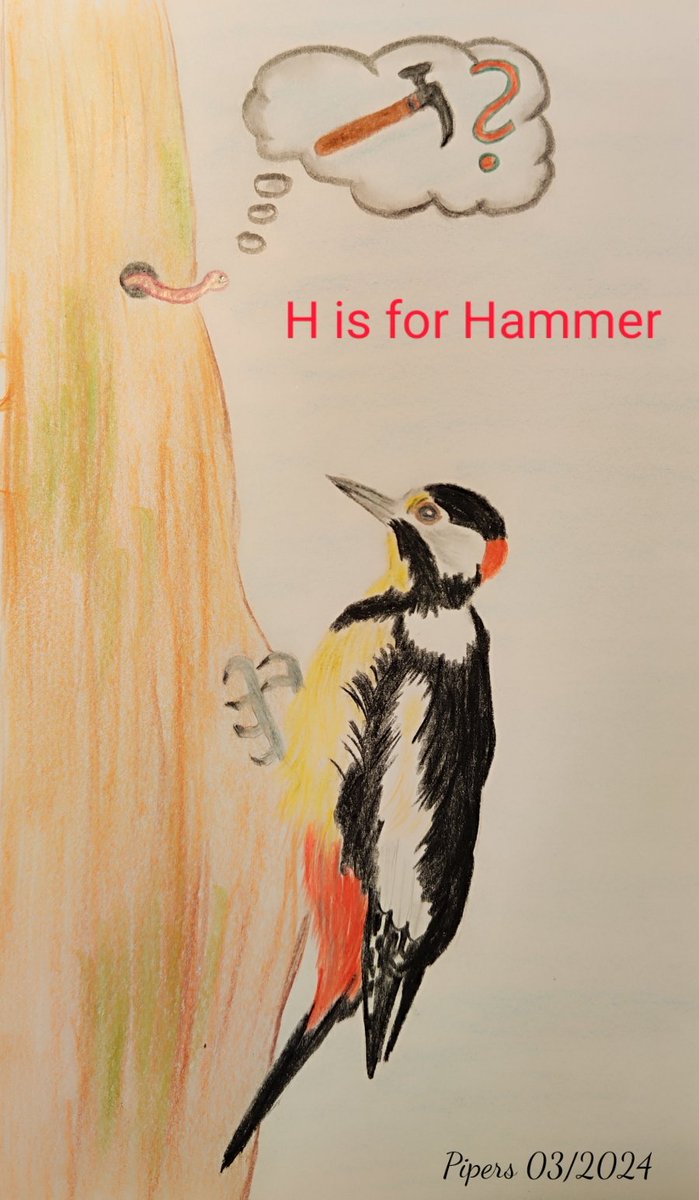 H is for Hammer @AnimalAlphabets What's that noise? It sounds like a hammer but is a woodpecker. 🔨🪱 #animalalphabets #illustration #woodpecker meets #worm #Pencildrawing #pencilsketch #carandache