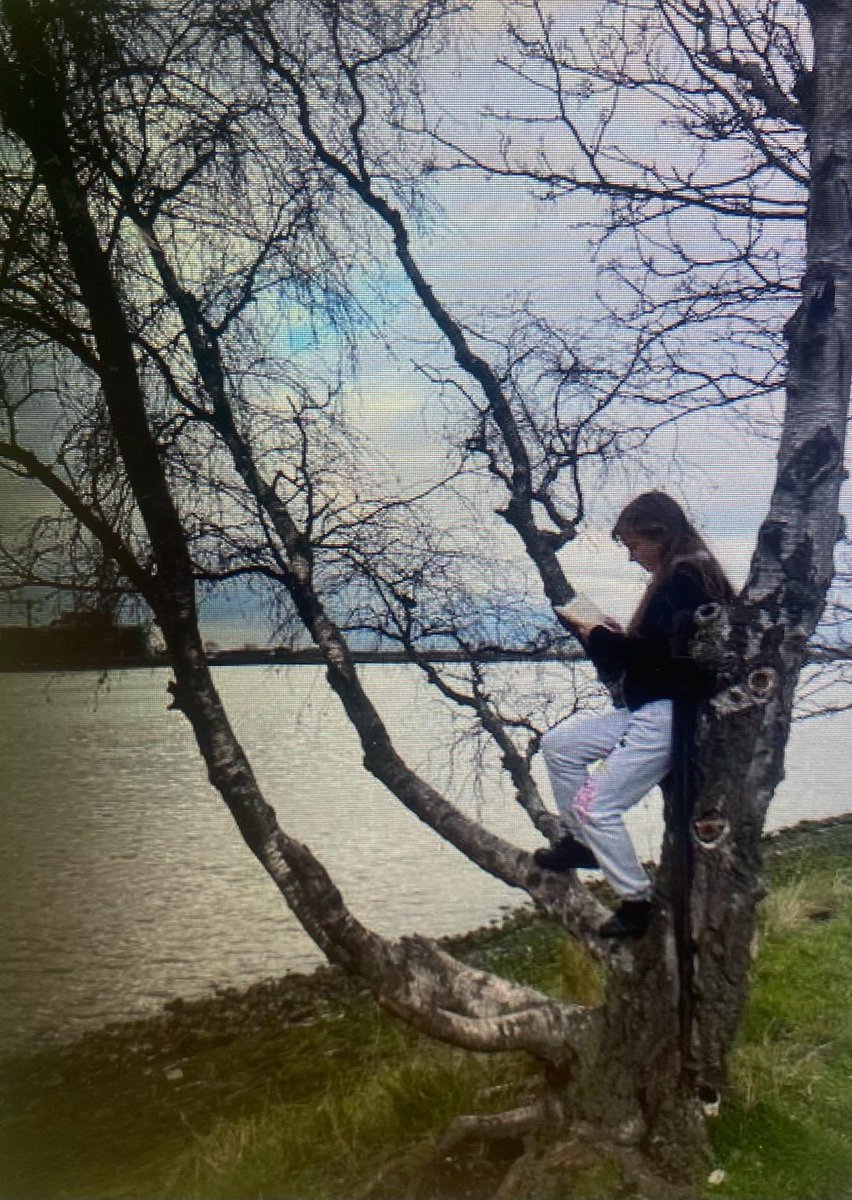 Discovery Primary School Year 6 tweet media