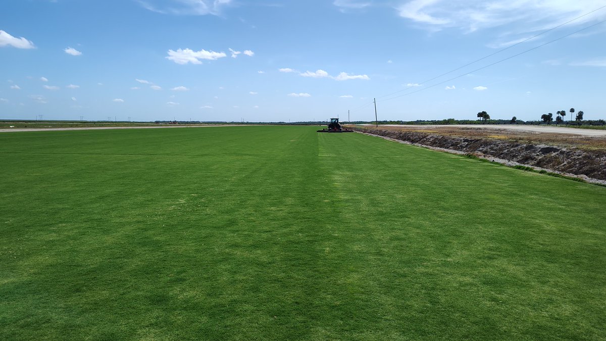 FarmerGolfNtUrf's tweet photo. #CELEBRATIONHYBRID #STARTURF ☀️⛳ https://t.co/sFFq3OnLxC