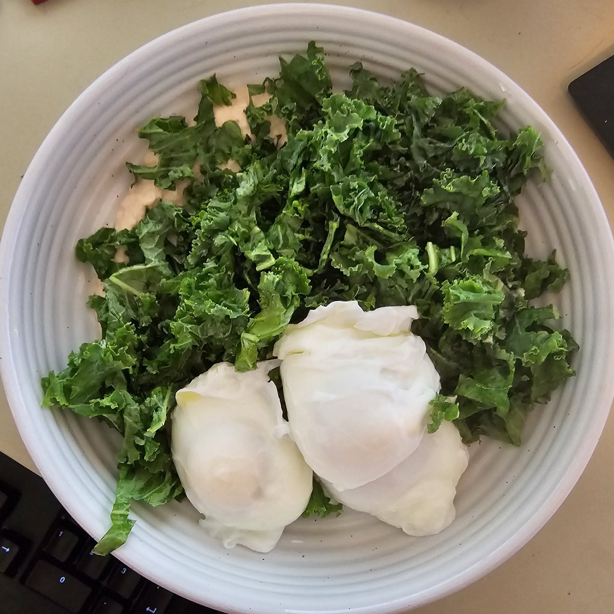 Lunch today is kale, hummus and poached eggs. Its not fancy, but it'll get me through.

#ketoliving
#lchf