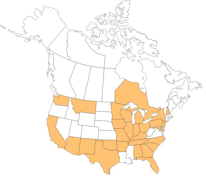 So far we've had over 600 tag requests in 28 different states! And even internationally in Ontario! How cool is that? Get yours now! halliestrong.org/halliesdayofho…