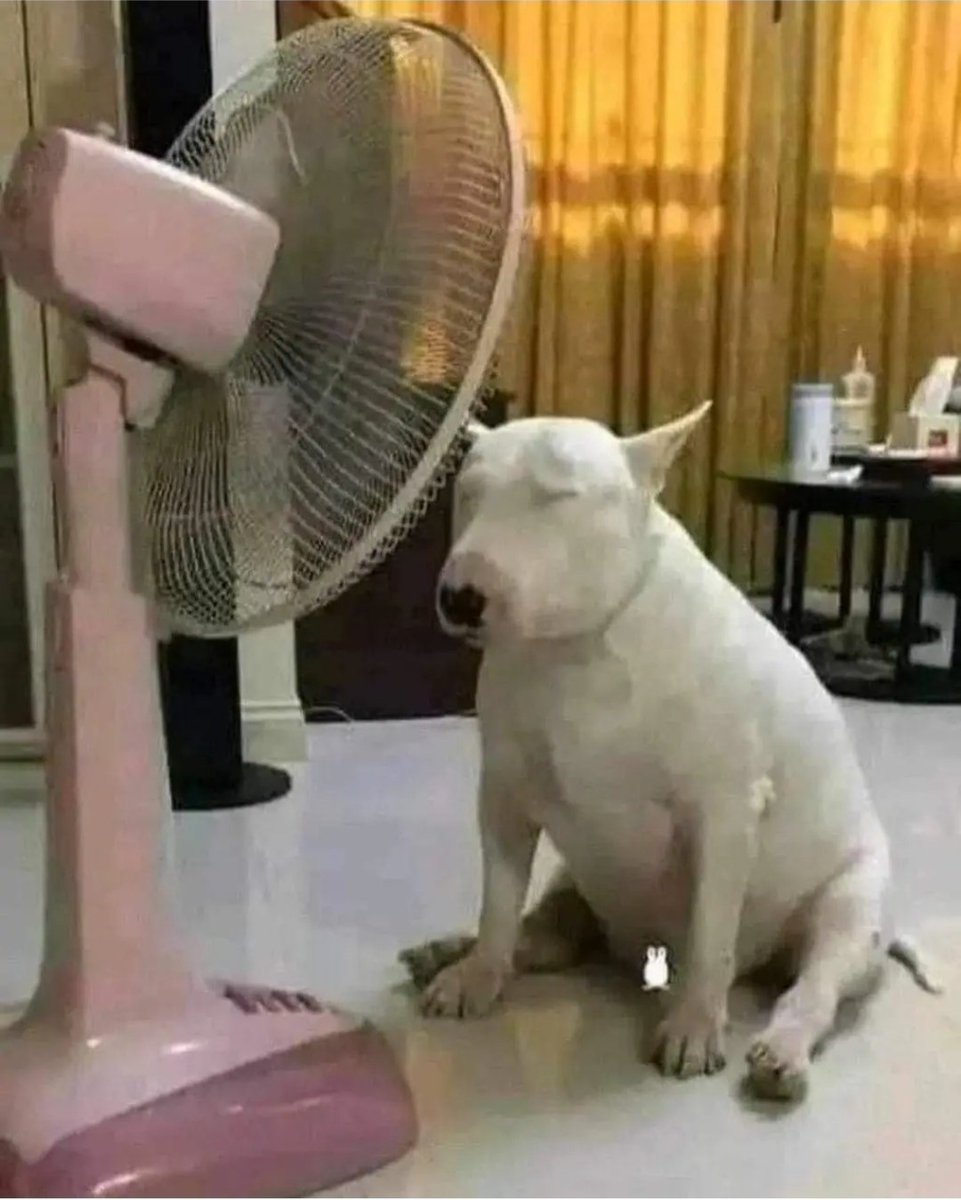 cakelikejesus's tweet photo. Por qué quitan la luz justo cuando el calor está en su máximo esplendor, ya ni sé a quién maldecir )): https://t.co/koUXgWSH96