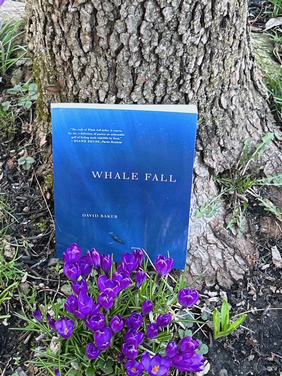 First copy of Whale Fall in paperback edition. Pub date is tomorrow but Page and the crocus get the first advance copy! Get yours too!