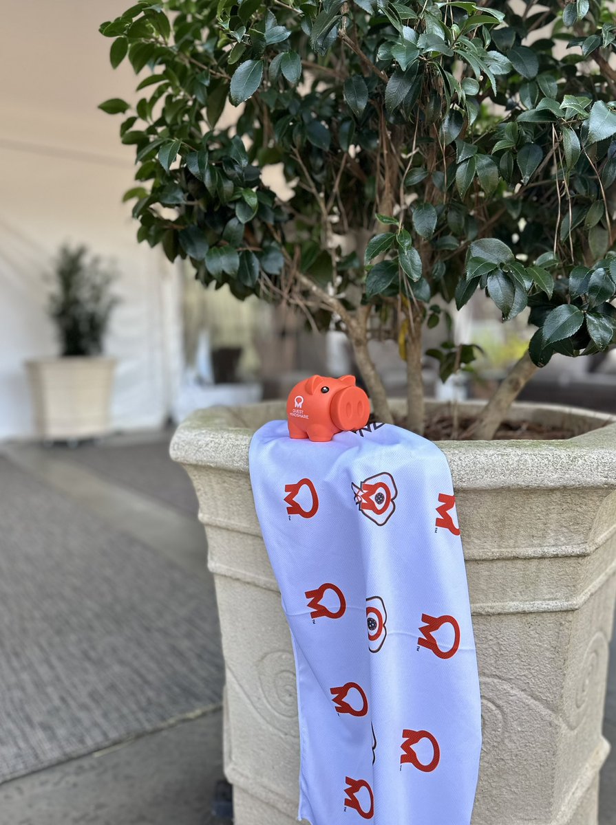 QuestMindshare's tweet image. T-minus 1 hour until serve 🏓

#samplecon #pickleballtournament @Samplecon