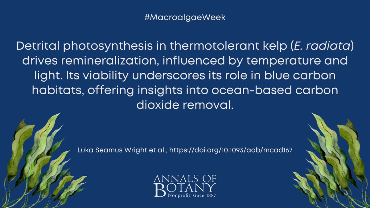 Annals of Botany (@annbot) on Twitter photo 🌊🌿 #MacroalgaeWeek
Temperature sensitivity of detrital photosynthesis by Luka Wright and co-authors in <a href="/annbot/">Annals of Botany</a>
#openaccess article
👉 botany.fyi/UfGPP8 🌊🌿 #MacroalgaeWeek
Temperature sensitivity of detrital photosynthesis by Luka Wright and co-authors in <a href="/annbot/">Annals of Botany</a>
#openaccess article
👉 botany.fyi/UfGPP8