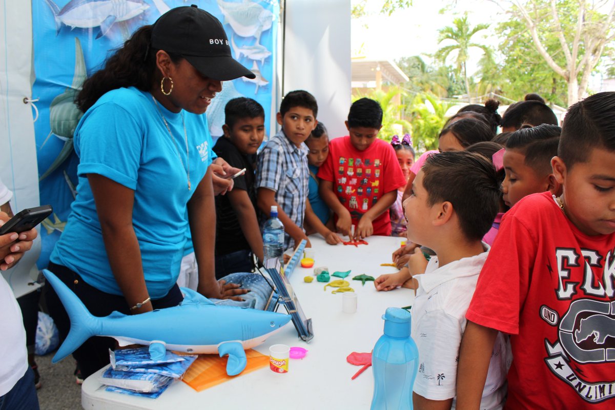 MarAlliance tweet media