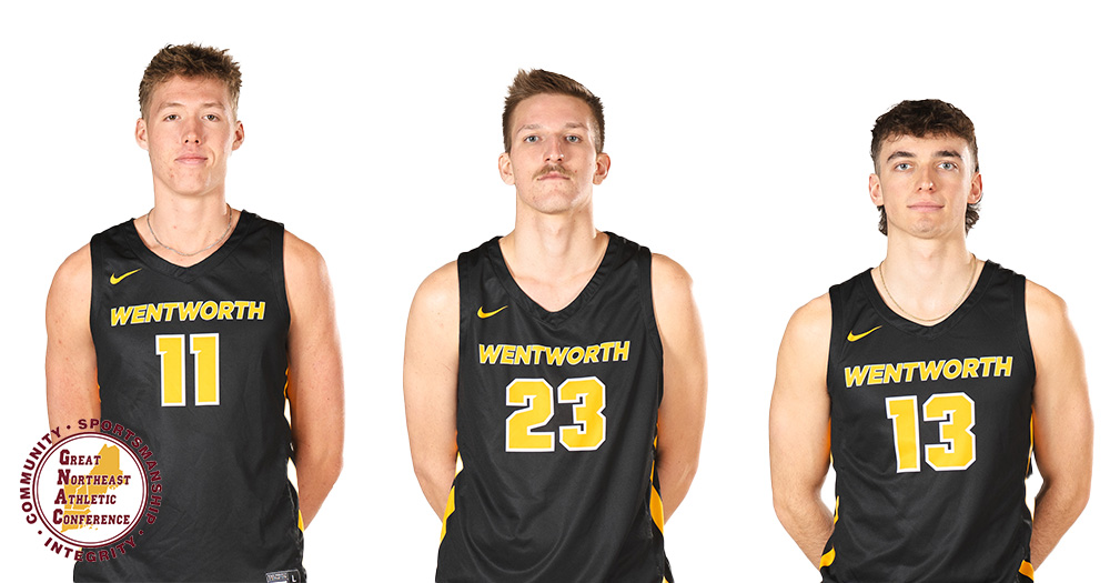 Three from Men's Volleyball Earn GNAC Weekly Awards 

wentworthathletics.com/x/6eykx