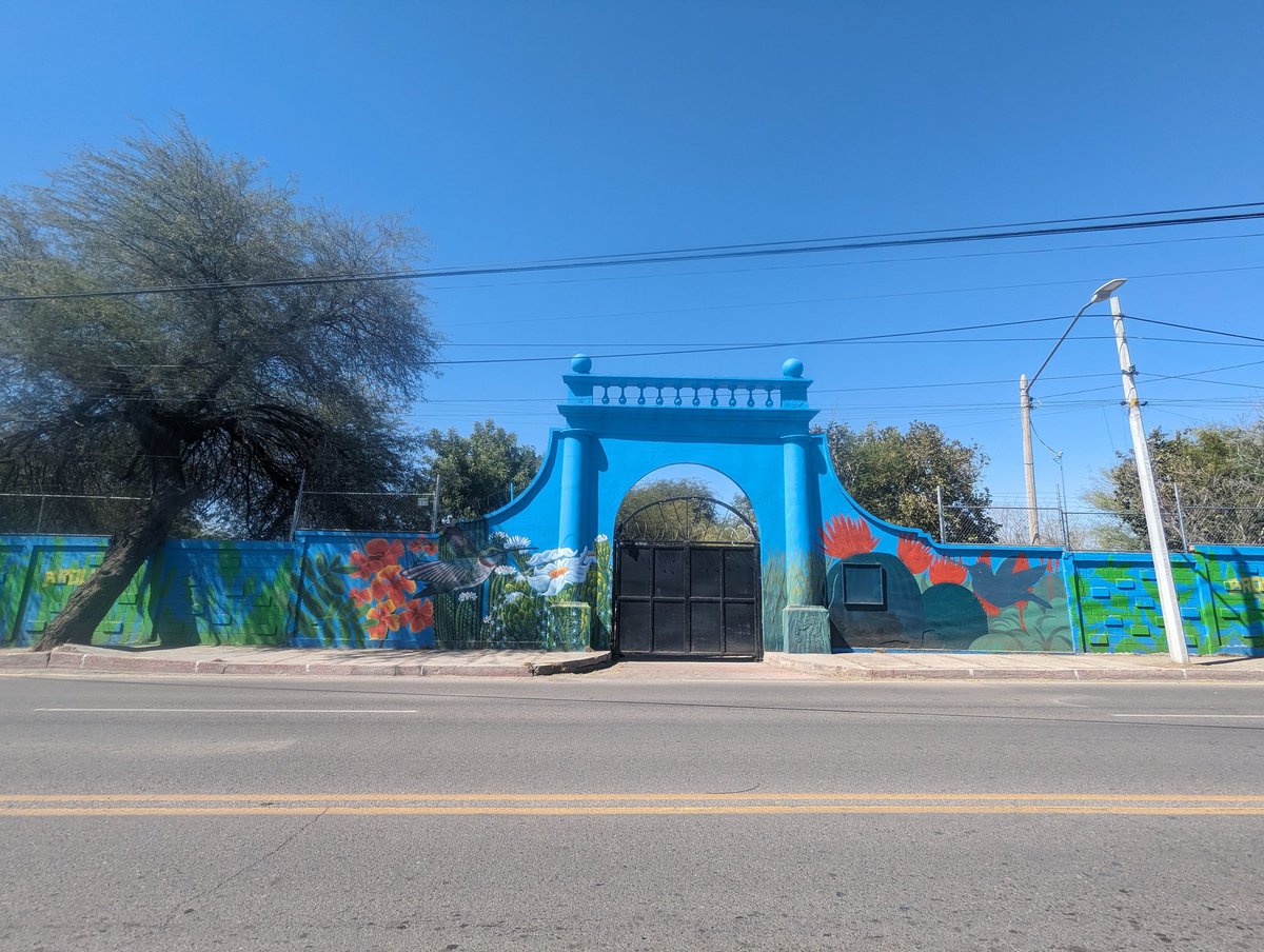 El mural del acceso al #BosqueMemorial sobre la Israel González sigue tomando forma, un homenaje a la flora nativa y los polinizadores. Mañana tenemos actividad a las 4:30PM dentro del panteon, preparando el terreno para tener más plantas.