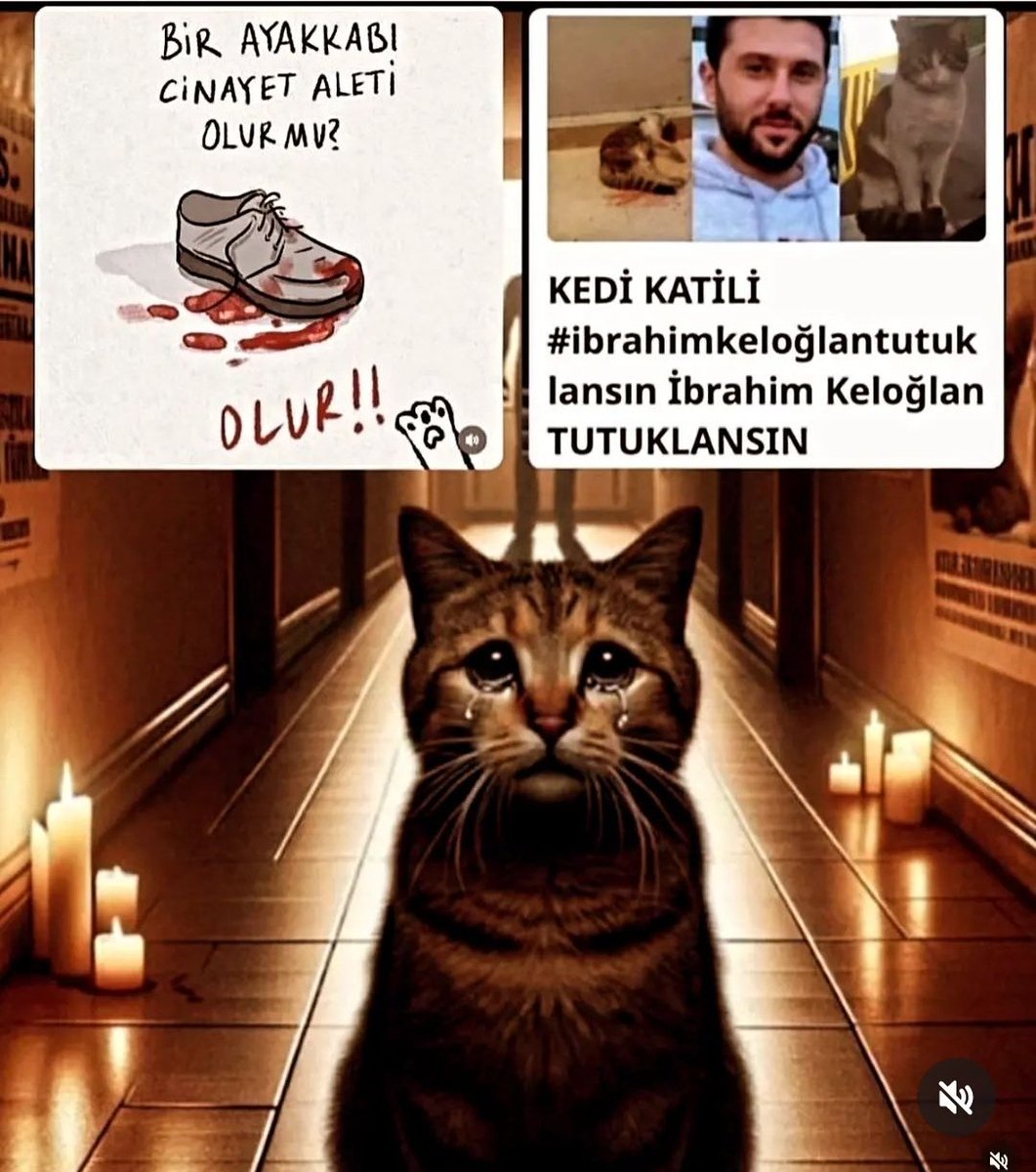 #ibrahimkeloğlantutuklansın