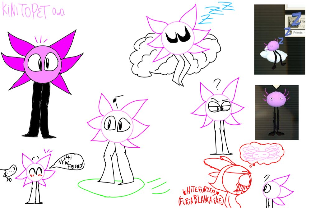 ErianaValle's tweet image. Hice este dibujo de kinito UwU #kinitopet #kinitopetfanart #kini