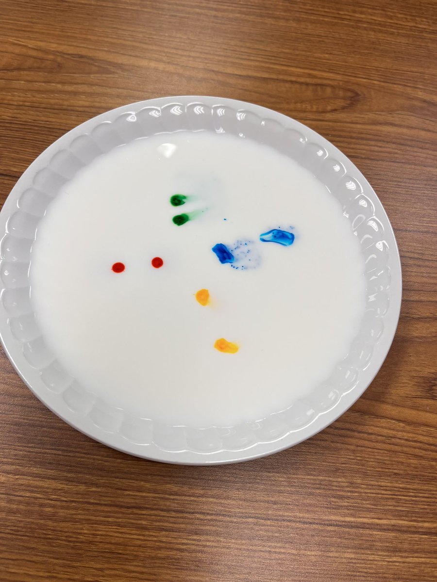 LearnWithMay's tweet photo. Today for #STEAMAcrossAmericaWeek we focused on science and read Libby Loves Science. We then made our own predictions about what would happen during the magic milk experiment. https://t.co/cGXqBgE0NR
