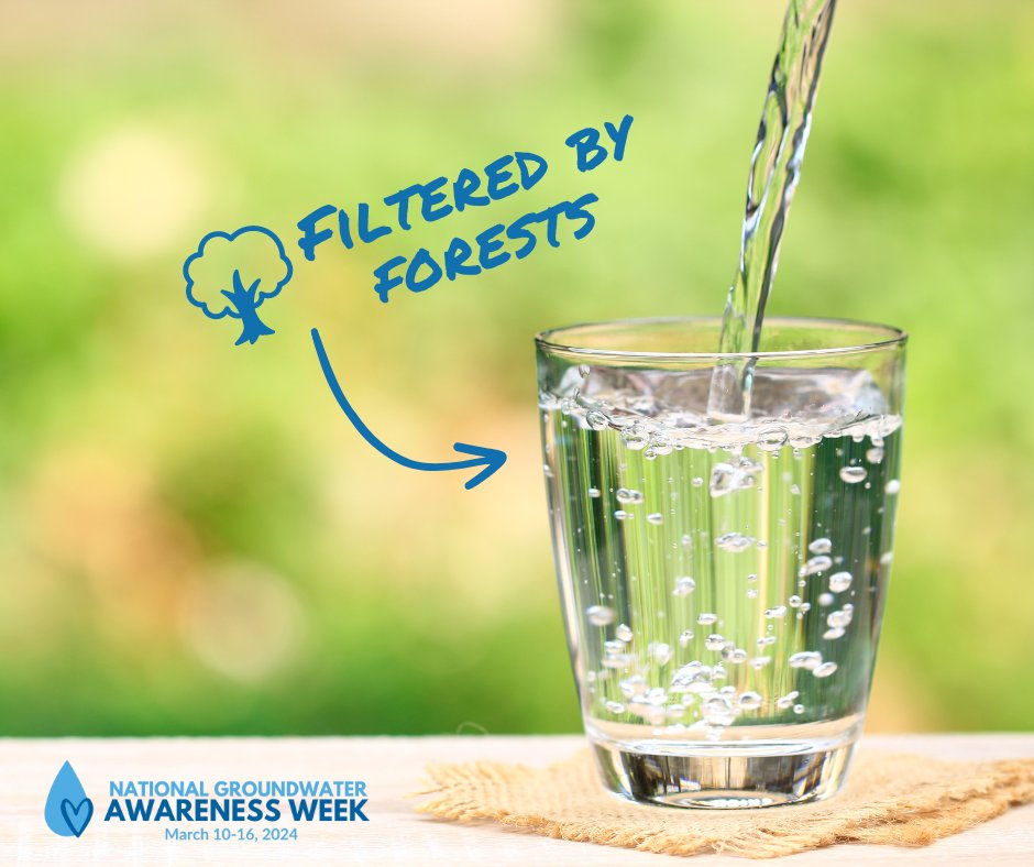 SGSF_Forests's tweet photo. It's National Groundwater Awareness Week! #DYK Tree roots help rainfall soak into the soil and reduce surface runoff, helping to replenish groundwater. Learn more at https://t.co/yBYxEWmusv.
#Groundwater #Forest2Faucet https://t.co/d11FfPRga8