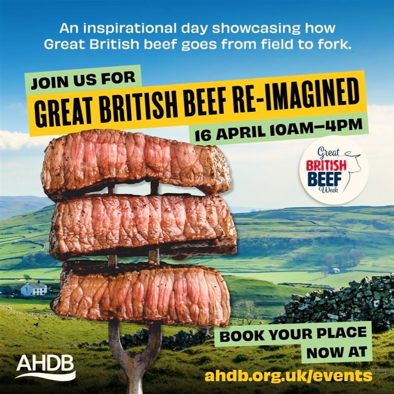 Join @AHDB_BeefLamb it's time to book your space on this #foodservice event for #GreatBritishBeefWeek24 Great British Beef Re-Imagimed #chefs - book here 👉 ahdb.org.uk/events/great-b… 👈 Look forward to seeing you there @chefcrowe673 @alanpaton7 @Chefcreed @ShearsRob @bbqben1