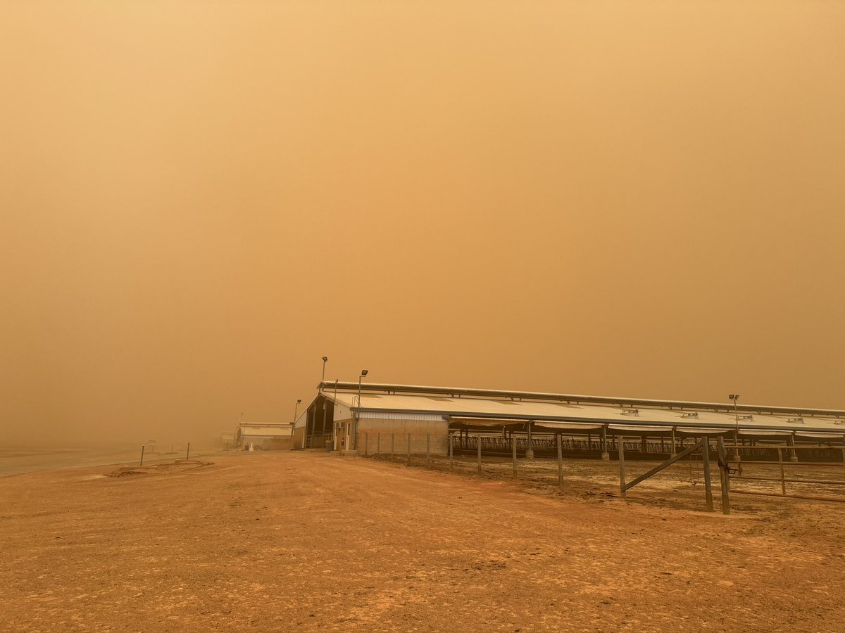 A sandstorm seems to break up the predictability of the weather out here only slightly! 🇸🇦