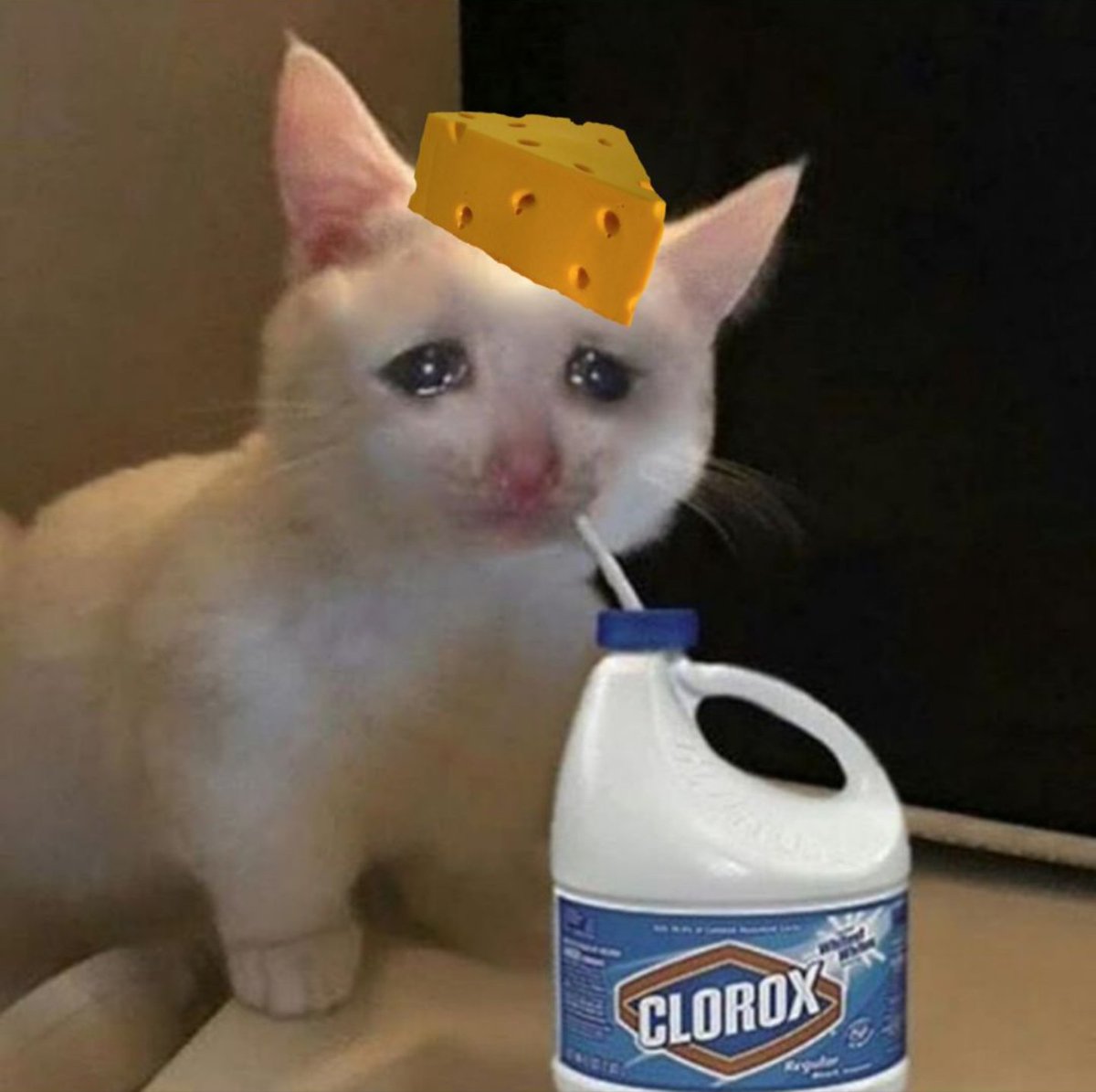 Jason (@jasonward23) on Twitter photo 