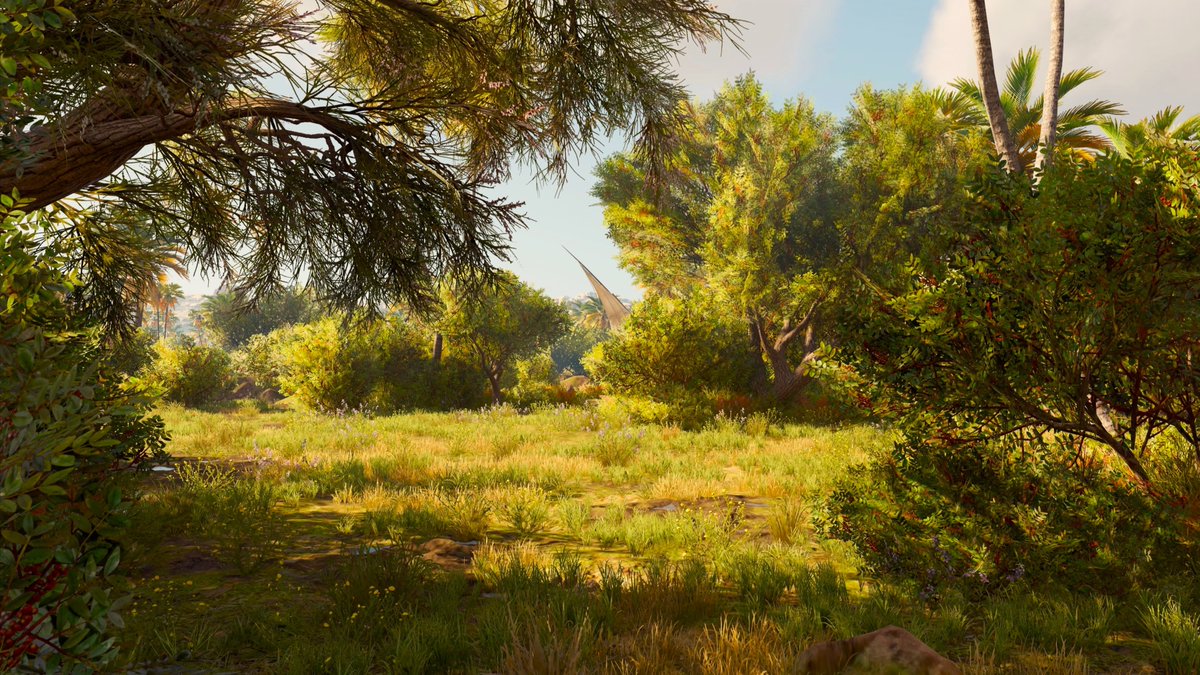 Hiding in the bushes 🌸 Open for full view ↔️ Game: #AssassinsCreedOrigins Developer: @UbisoftMTL @assassinscreed #LandscapeMonday #PhotoModeMonday #VirtualPhotography #VPRT #ArtisticofSociety #VPGamers #VGPUnite #PS5share