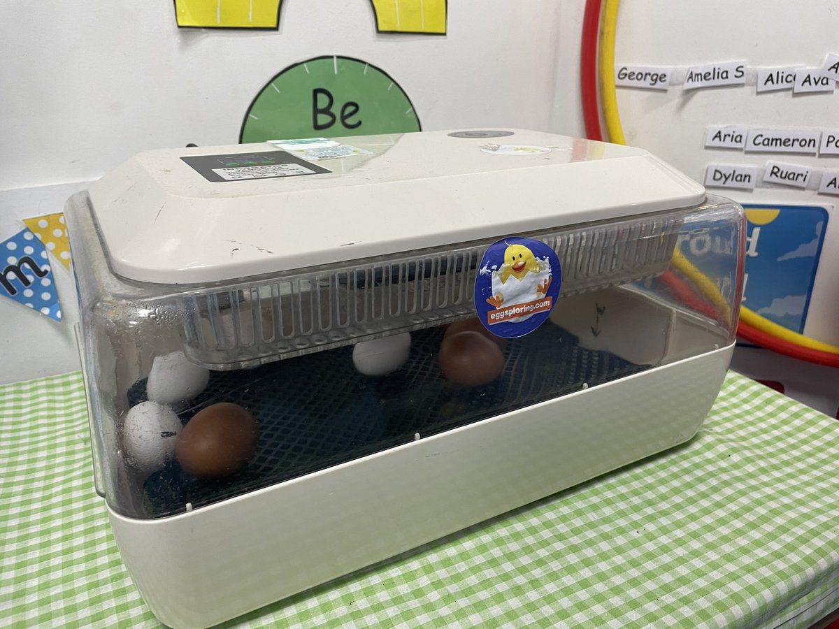 RecHiStPrimary's tweet image. We had a very eggciting delivery n Reception today… 🤭 Watch this space 🐣