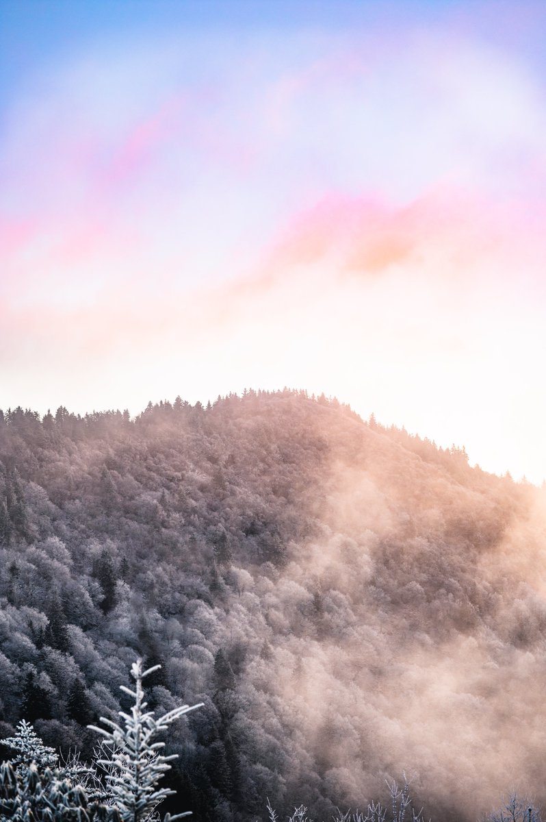 Some #MountainMonday photos that I shot on a #SunriseSunday on the Blue Ridge Parkway ❄️🌄