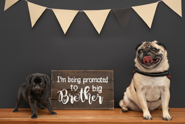 Sharon Latek tweet media