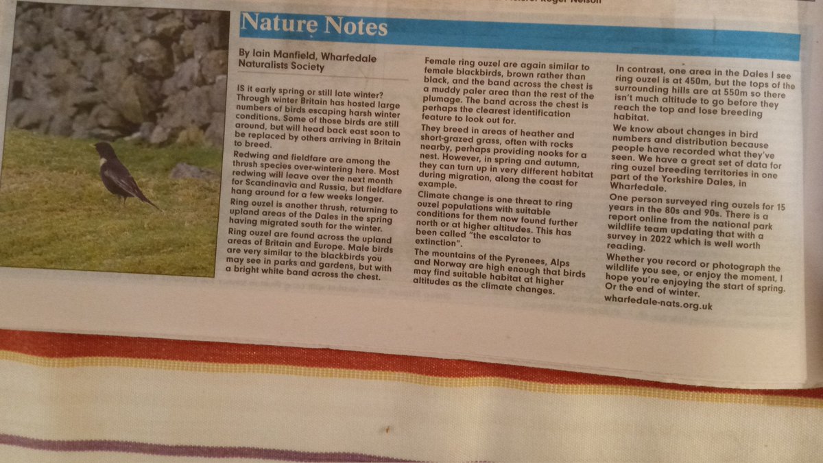 IainManners's tweet image. My recent contribution to the "Nature Notes" column for the Wharfedale Naturalists in local papers.

Redwing and Fieldfare overwintering in Britain to be replaced by Ring ouzel in the spring. Climate change as one issue for Ring ouzel populations.
@wns_nats #YorkshireDales