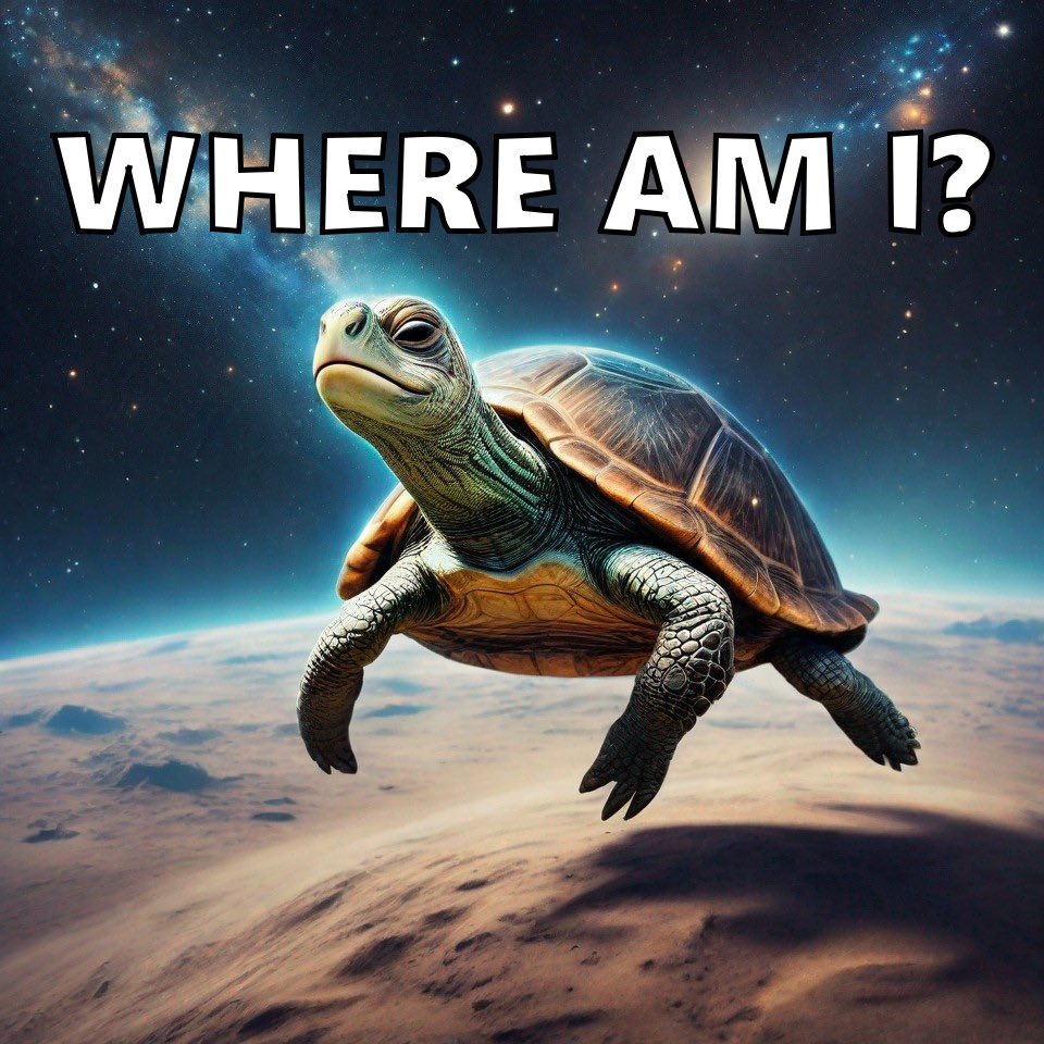 The $turtle in his natural habitat